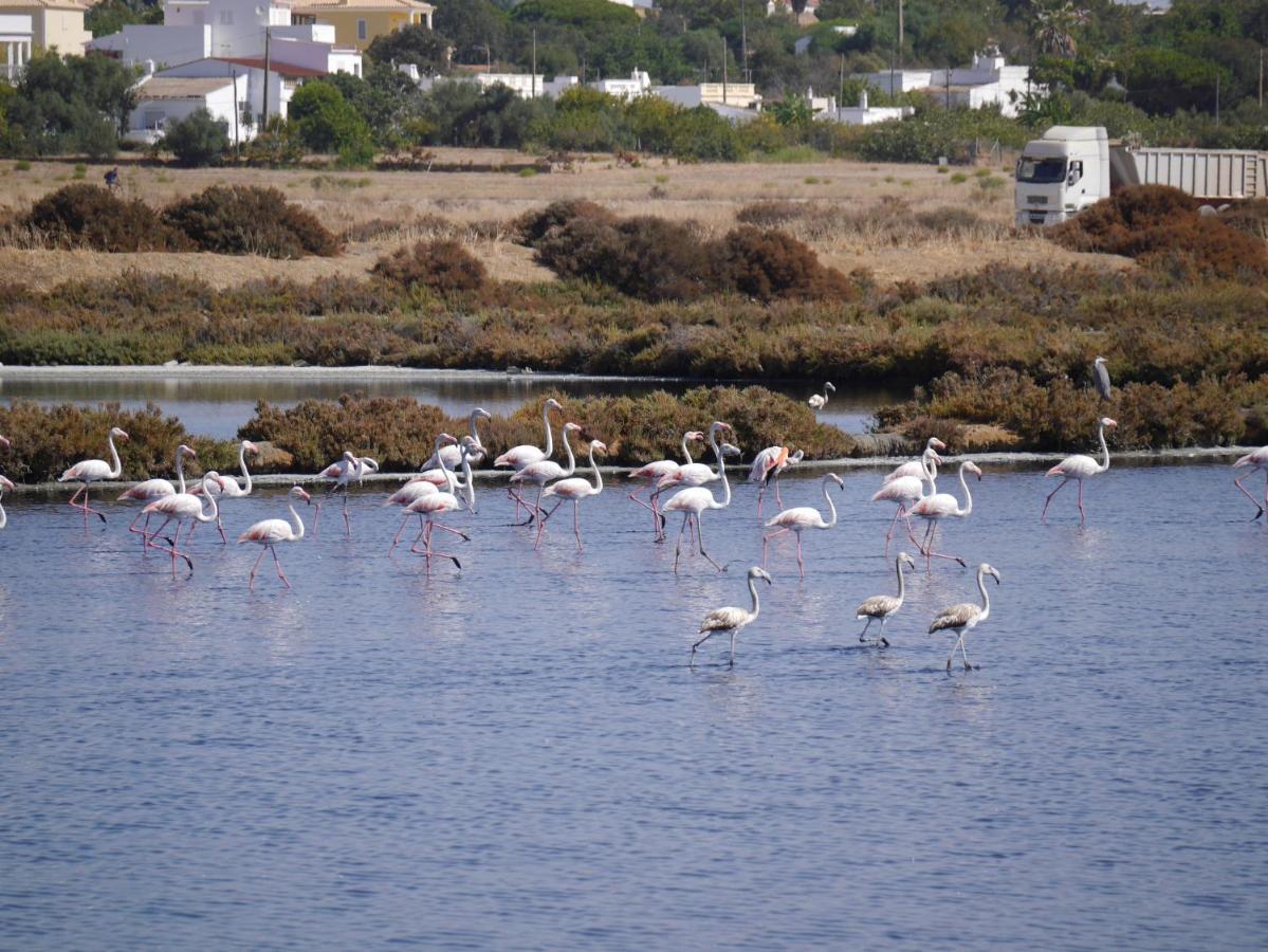 Tavira Nomad Guesthouse מראה חיצוני תמונה